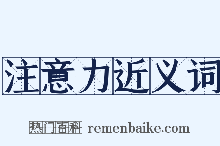 注意力近义词是什么意思的图片